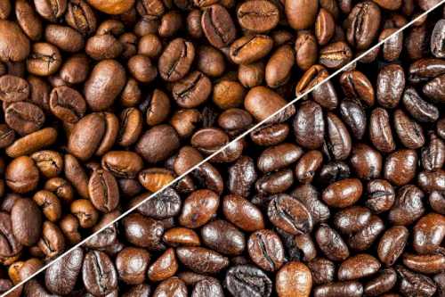 Robusta and Arabica Coffee