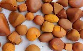 cow Gallstones For Sale