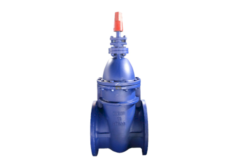 MSTN-NY0020 GATE VALVES