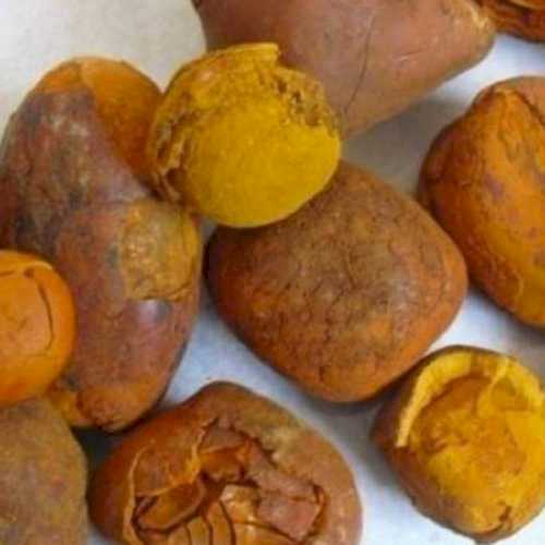 cow Gallstones For Sale
