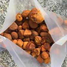 Cow Gallstones/cattle Gallstones