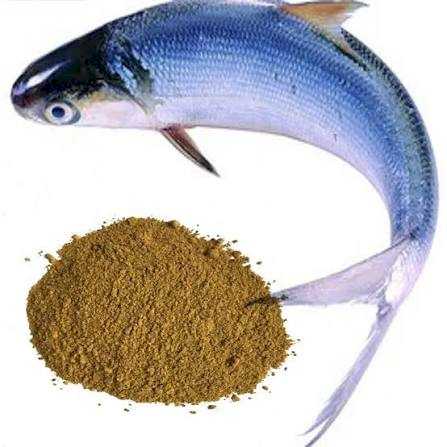 Fish Meal (65% & 72% Protein)