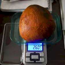 Cow ox Gallstones