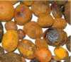 Thumb Image